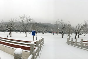 陵园美丽雪景