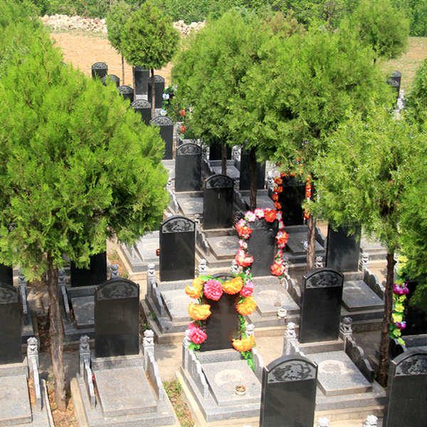 北京市归山陵园-平谷墓地实拍景观