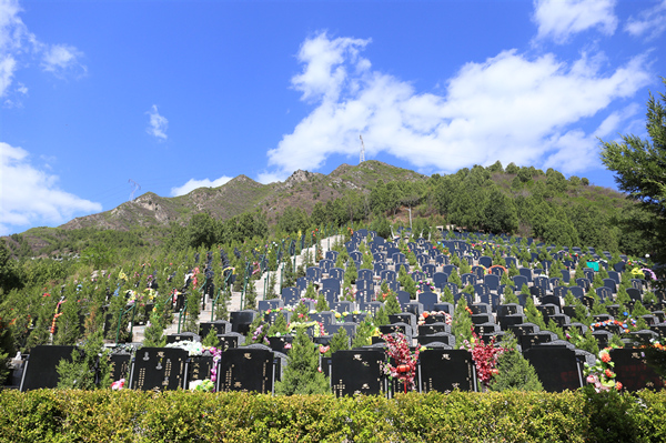 北京景仰园陵园-昌平墓地实拍景观