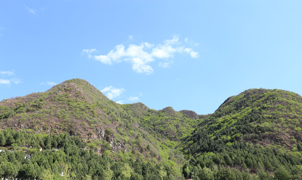 北京景仰园陵园-昌平墓地实拍景观