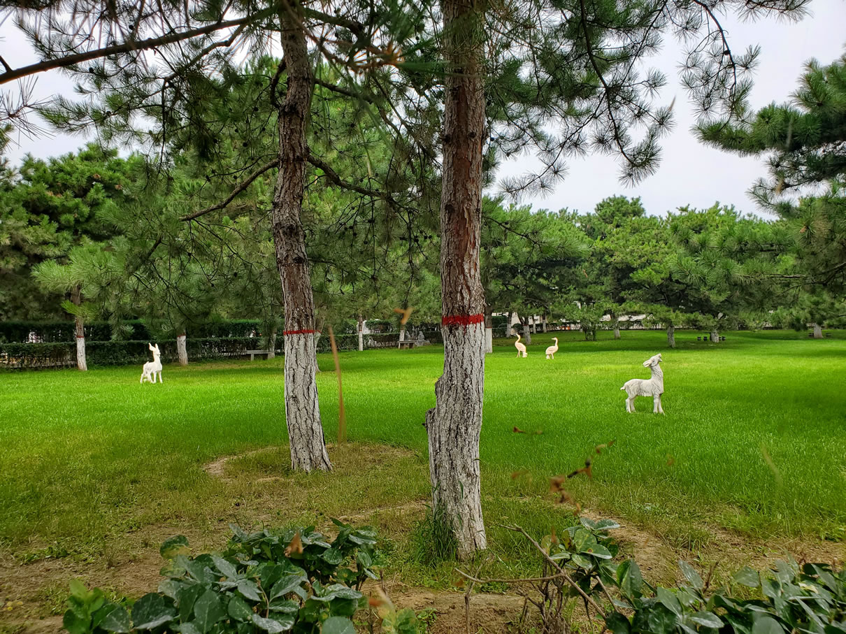 易县世界华侨陵园-京西南墓地实拍景观