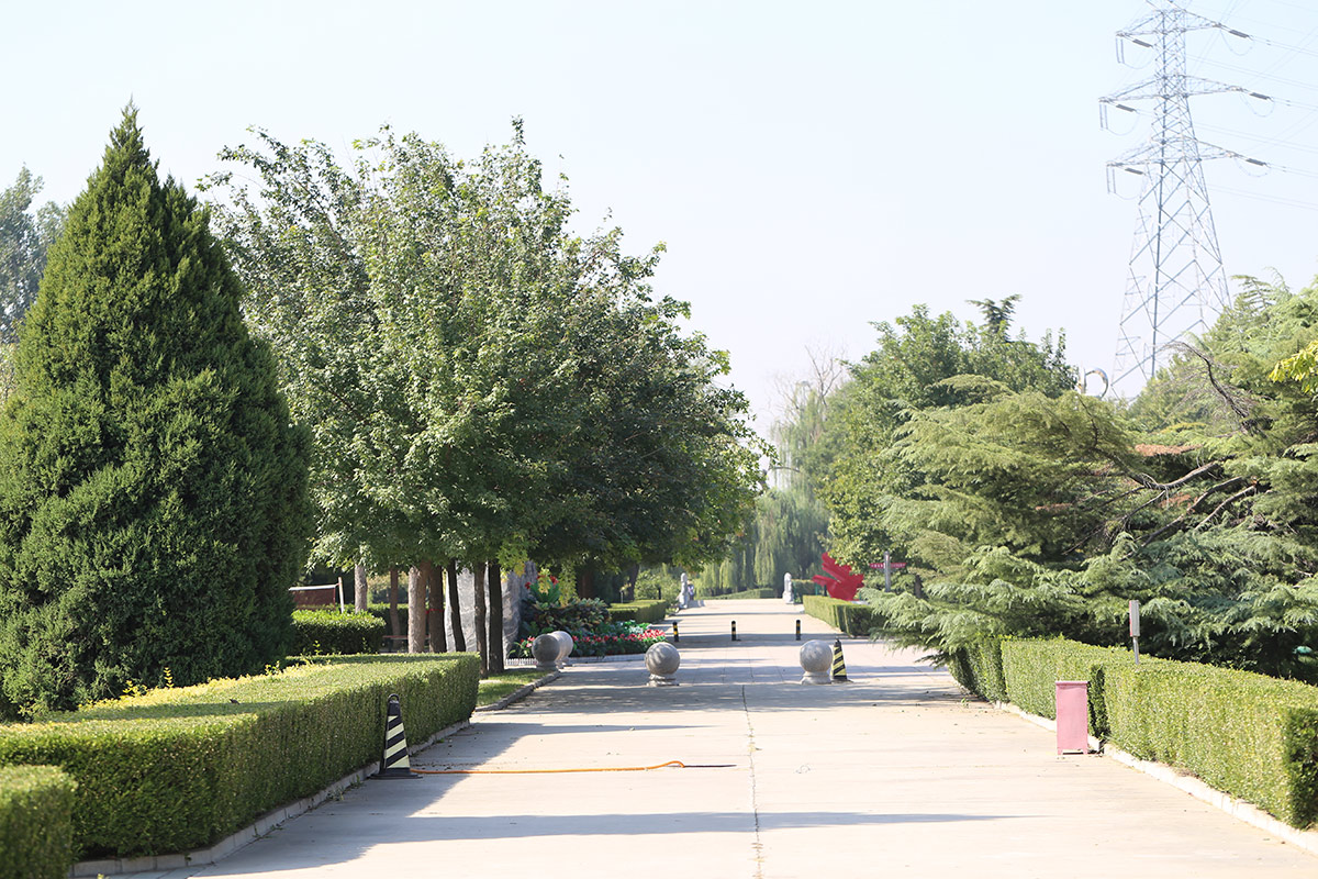 北京长青园陵园-朝阳墓地实拍景观