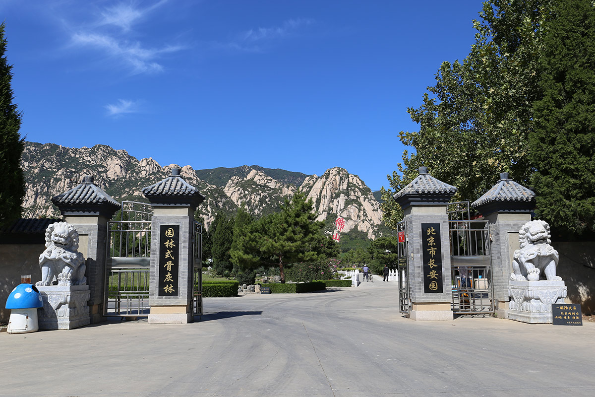 天山陵园全园总动员扫雪保安全-北京公墓网