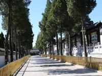 北京市八宝山革命公墓实拍景观
