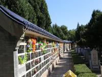北京市八宝山人民公墓实拍景观