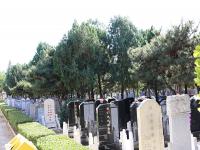 八宝山人民公墓实拍景观