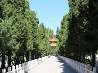 北京福田公墓实拍景观