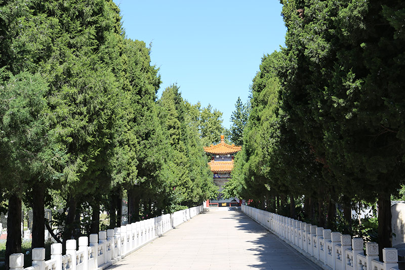 北京福田公墓-石景山墓地实拍景观