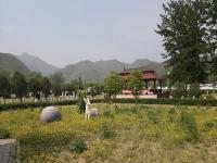 实拍景观
