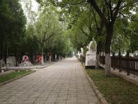 北京市佛山陵园实拍景观
