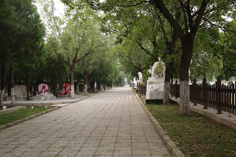 北京市佛山陵园-昌平墓地实拍景观