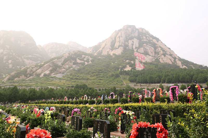 北京市佛山陵园-昌平墓地实拍景观