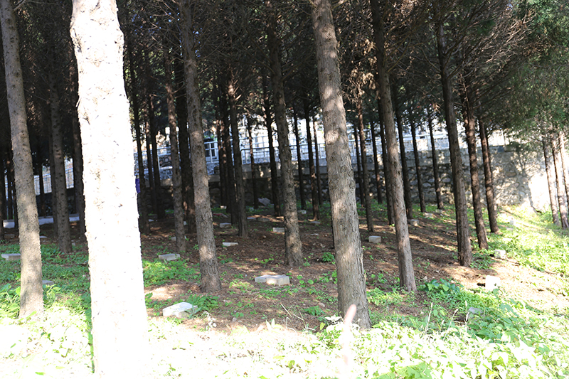 北京宝云岭墓园-密云墓地实拍景观