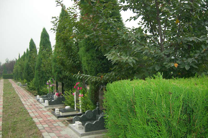 保定高静园公墓-京南墓地实拍景观