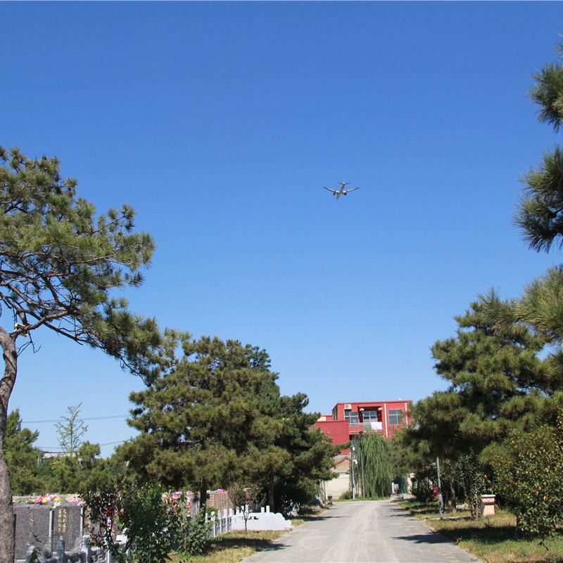 北京市朝阳陵园-朝阳墓地实拍景观