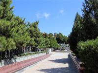 北京市温泉墓园实拍景观