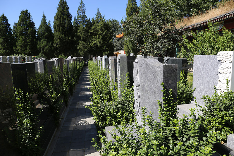 北京福田公墓-石景山墓地实拍景观