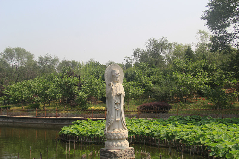 北京市静安墓园-房山墓地实拍景观