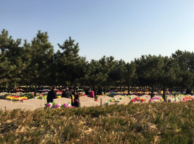 北京市八达岭人民公墓-延庆区墓地实拍景观