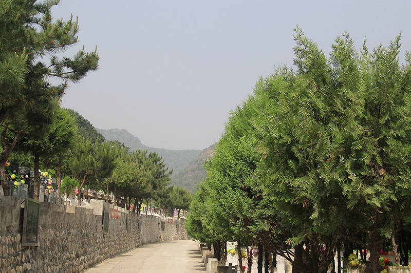 北京市归山陵园-平谷墓地实拍景观