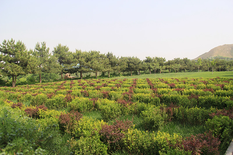 灵山宝塔陵园-三河墓地实拍景观