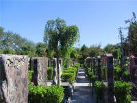 北京市外侨公墓实拍景观