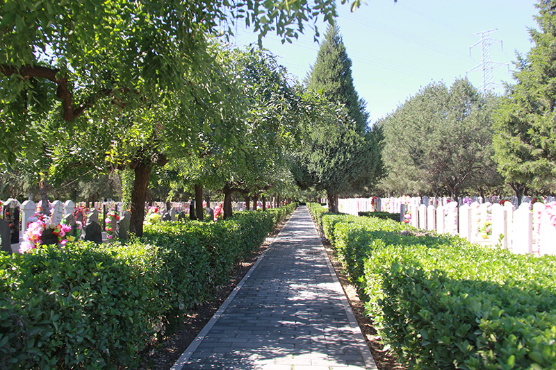 北京市朝阳陵园-朝阳墓地实拍景观