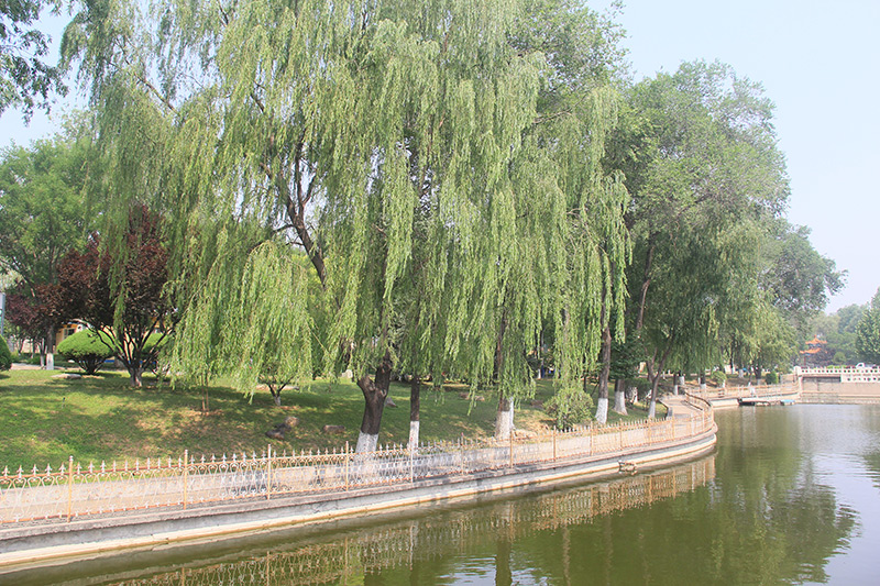 北京市静安墓园-房山墓地实拍景观