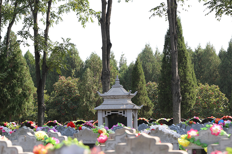 北京市天堂公墓-大兴墓地实拍景观