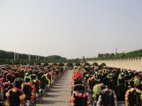 北京极乐园公墓实拍景观