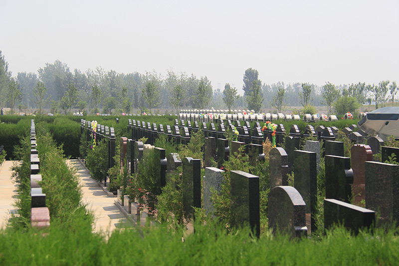 卧龙公墓-京南墓地实拍景观