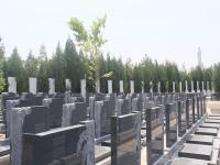 涿州万佛园公墓实拍景观