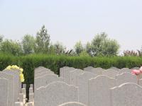 涿州万佛园公墓实拍景观