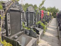 北京九里山公墓二区实拍景观