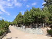 龙泉公墓实拍景观