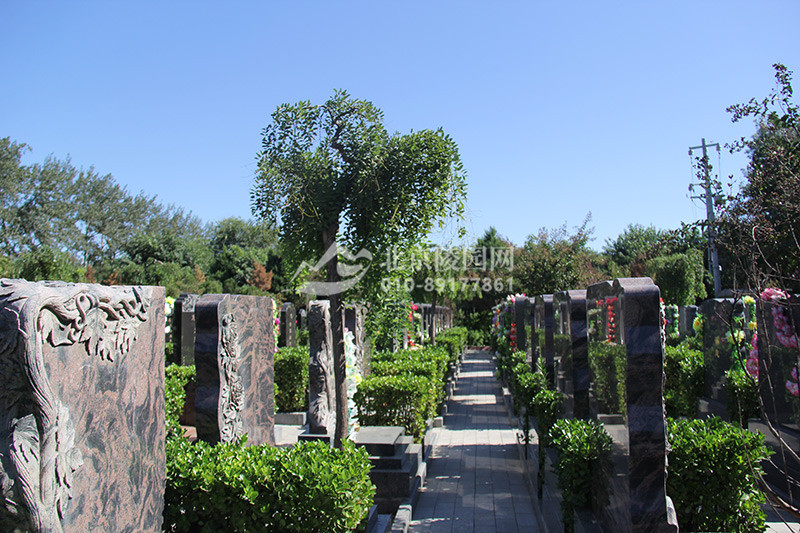 北京市外侨公墓-朝阳墓地实拍景观