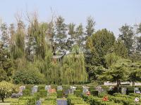北京长青园陵园实拍景观