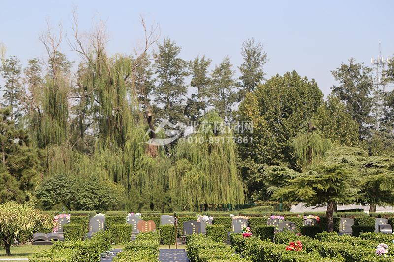 北京长青园陵园-朝阳墓地实拍景观