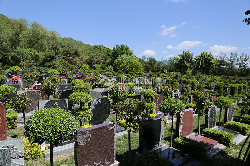 龙颌园景观