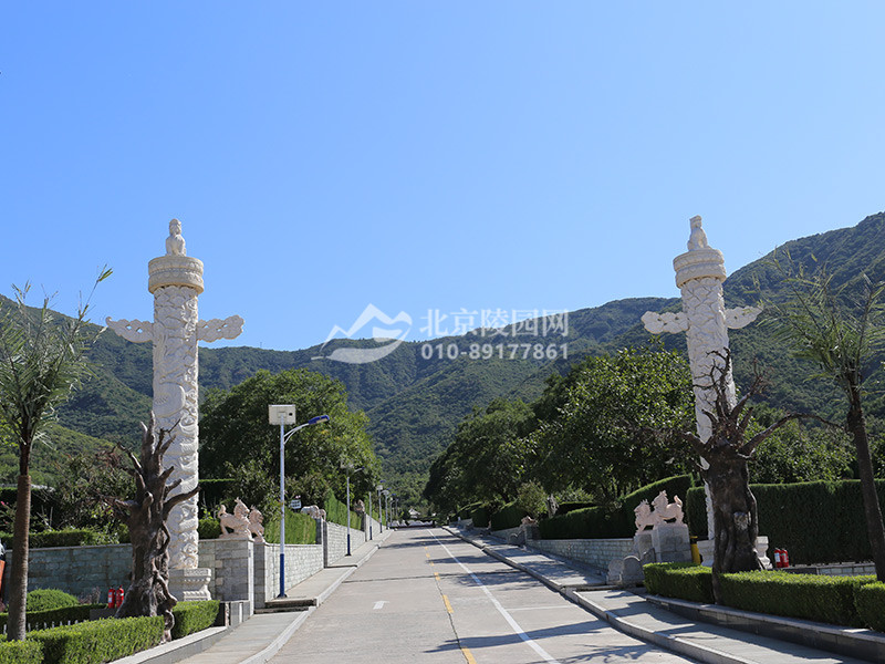 天山陵园墓区道路