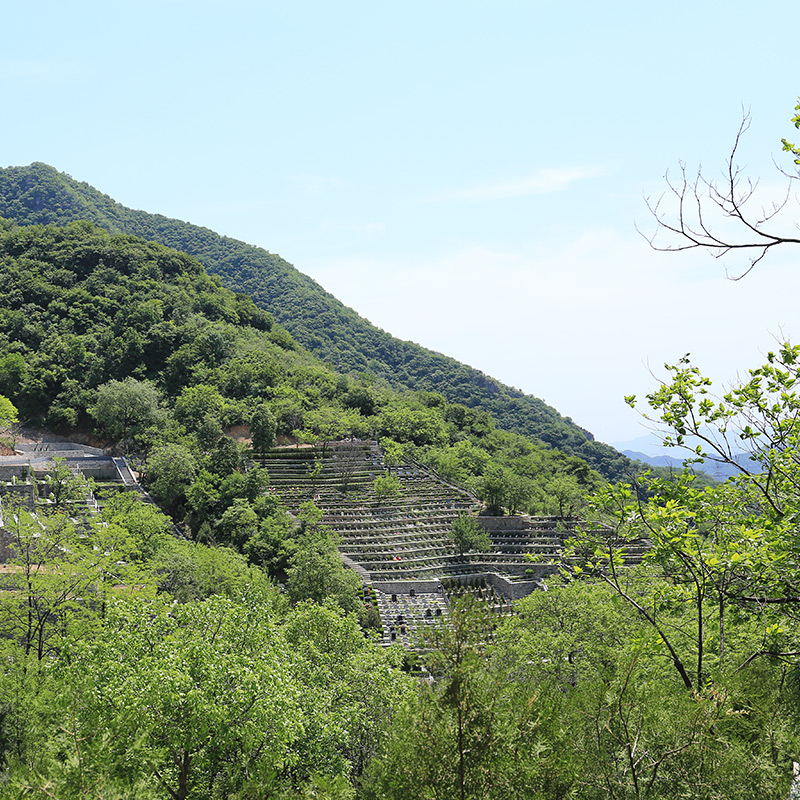 陵园环境