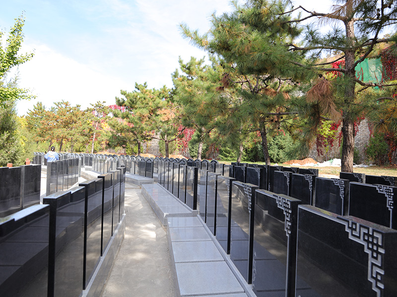 福泽园东七G区环境