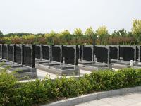 施孝园墓区环境实拍