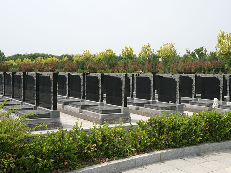 施孝园墓区环境实拍