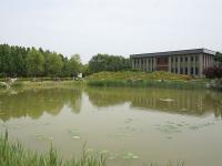 施孝园接待中心旁的湖泊