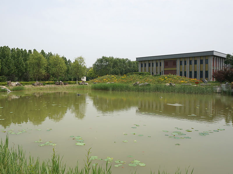 施孝园接待中心旁的湖泊