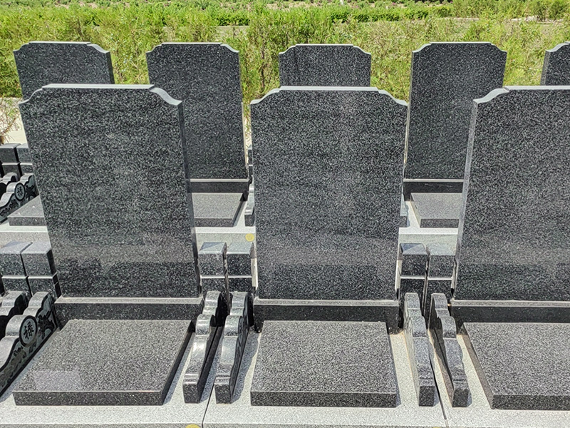 成交墓型园区实拍