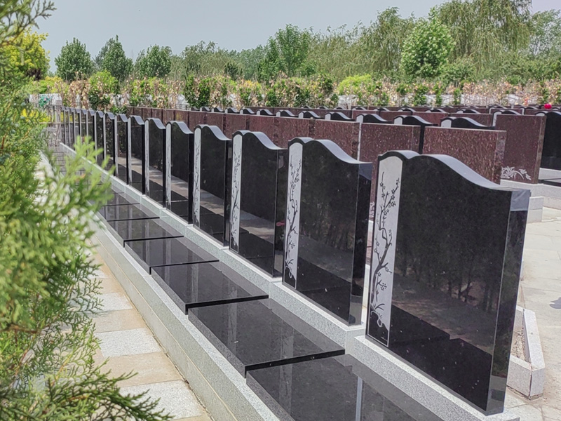 清颐园墓区实拍