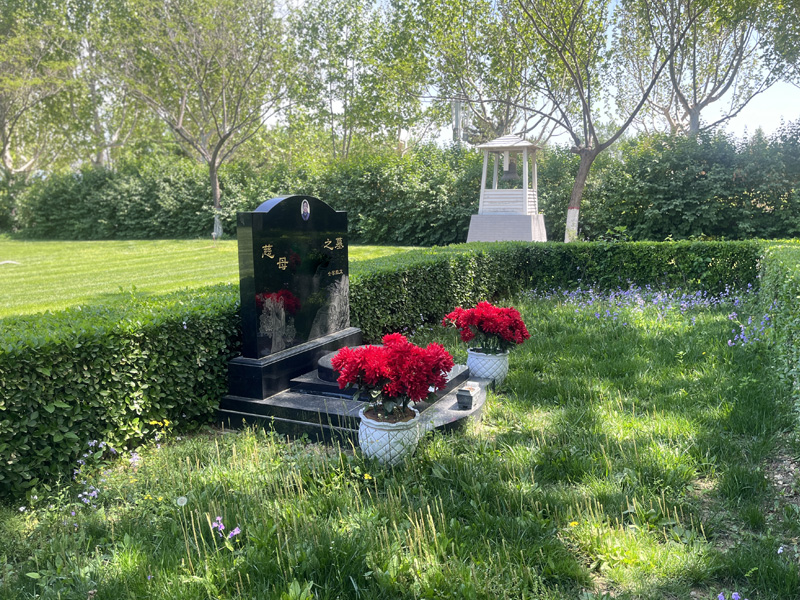 灵山宝塔陵园墓区环境随拍