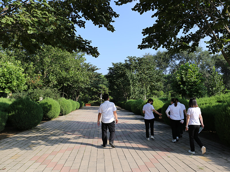 廊坊万桐园墓园绿化